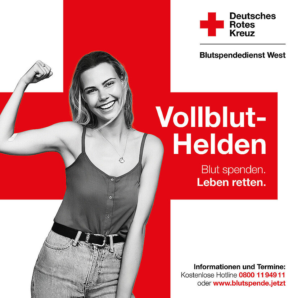 Vollblut Helden